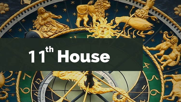 11th Astrological House in Each Zodiac