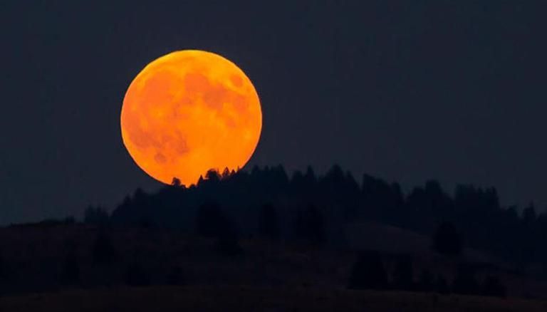 What Should You Do On The Last Full Moon Of The Year?